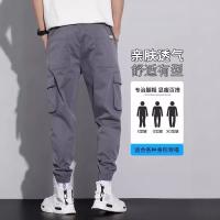 cms/erpbt/backend/web/uploads/erp/collection/images/Men Clothes/XINBAIHUI/EN0221466/img_b/EN0221466_img_b_2